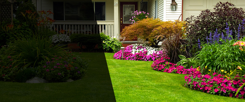 Prince Frederick Landscapers