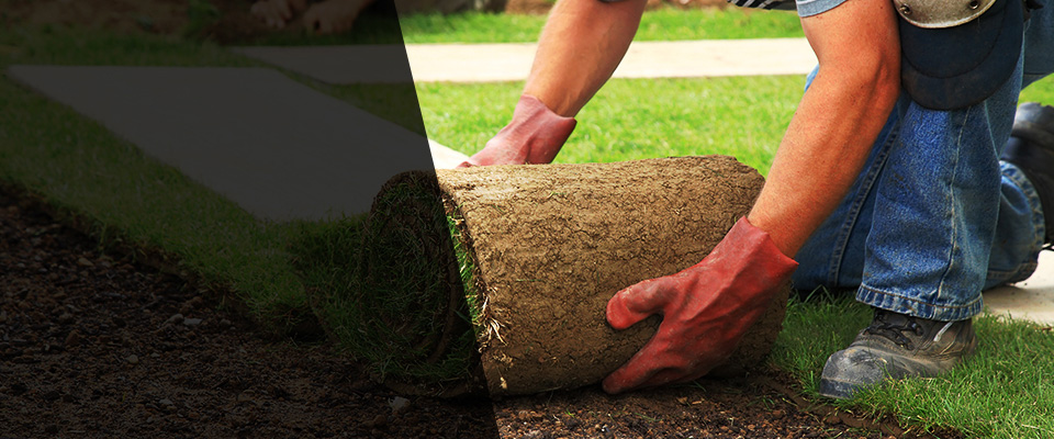 Prince Frederick Landscapers